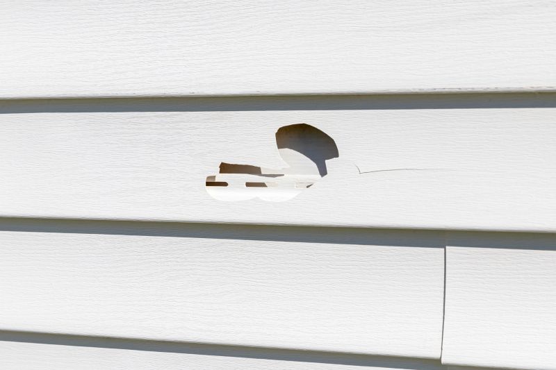 Damaged Siding Repair detail